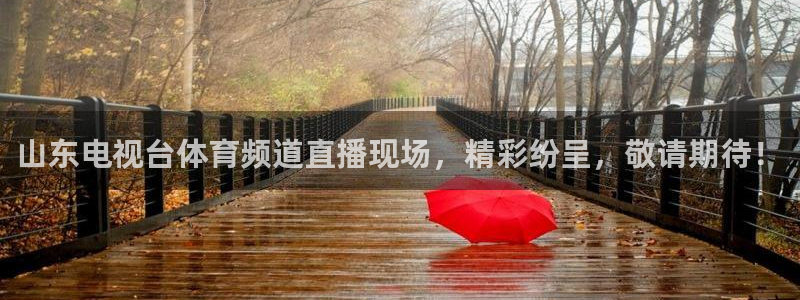 山东电视台体育频道直播现场，精彩纷呈，敬请期待！