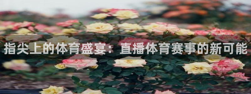 指尖上的体育盛宴：直播体育赛事的新可能