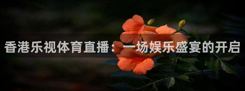 香港乐视体育直播：一场娱乐盛宴的开启